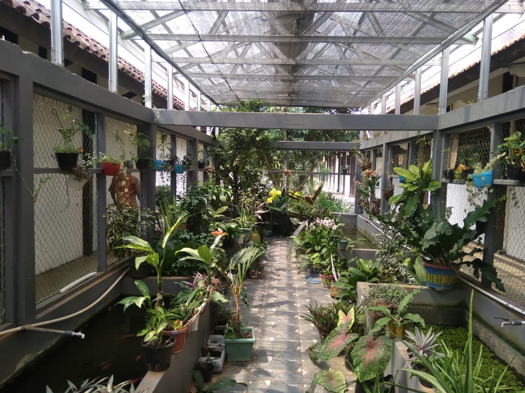 Green House